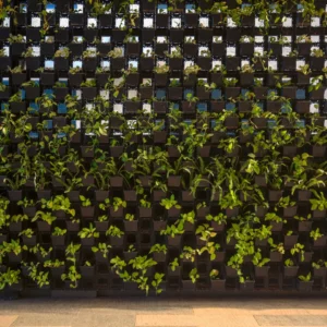 Background-Image-Green